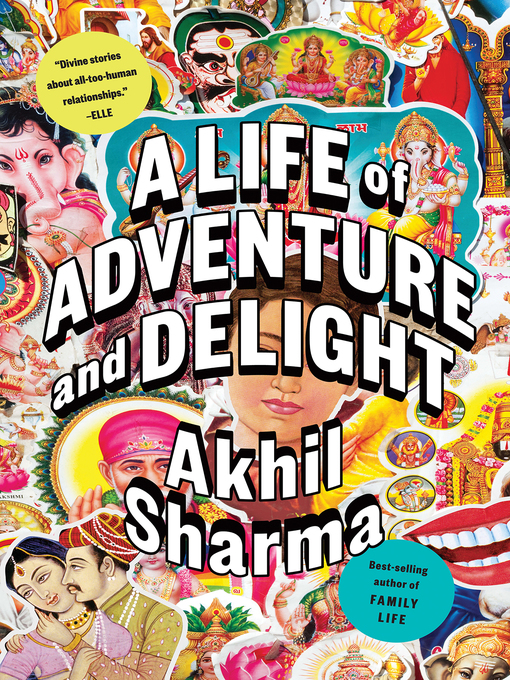 Title details for A Life of Adventure and Delight by Akhil Sharma - Wait list